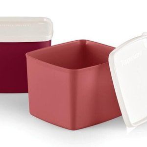 Tupperware Retro Chic Square Round Container Set of 4